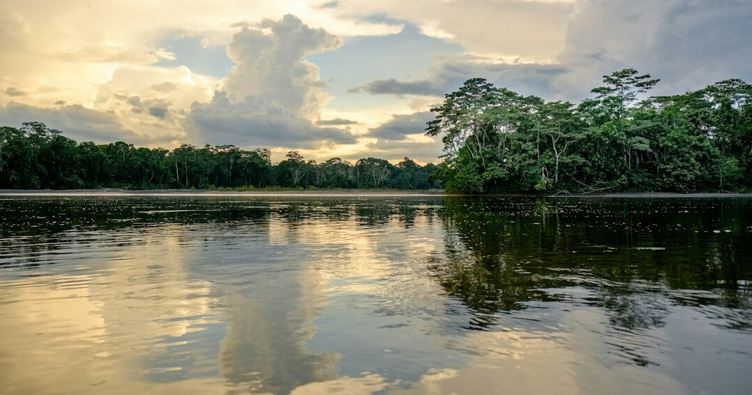 amazon rainforest burning