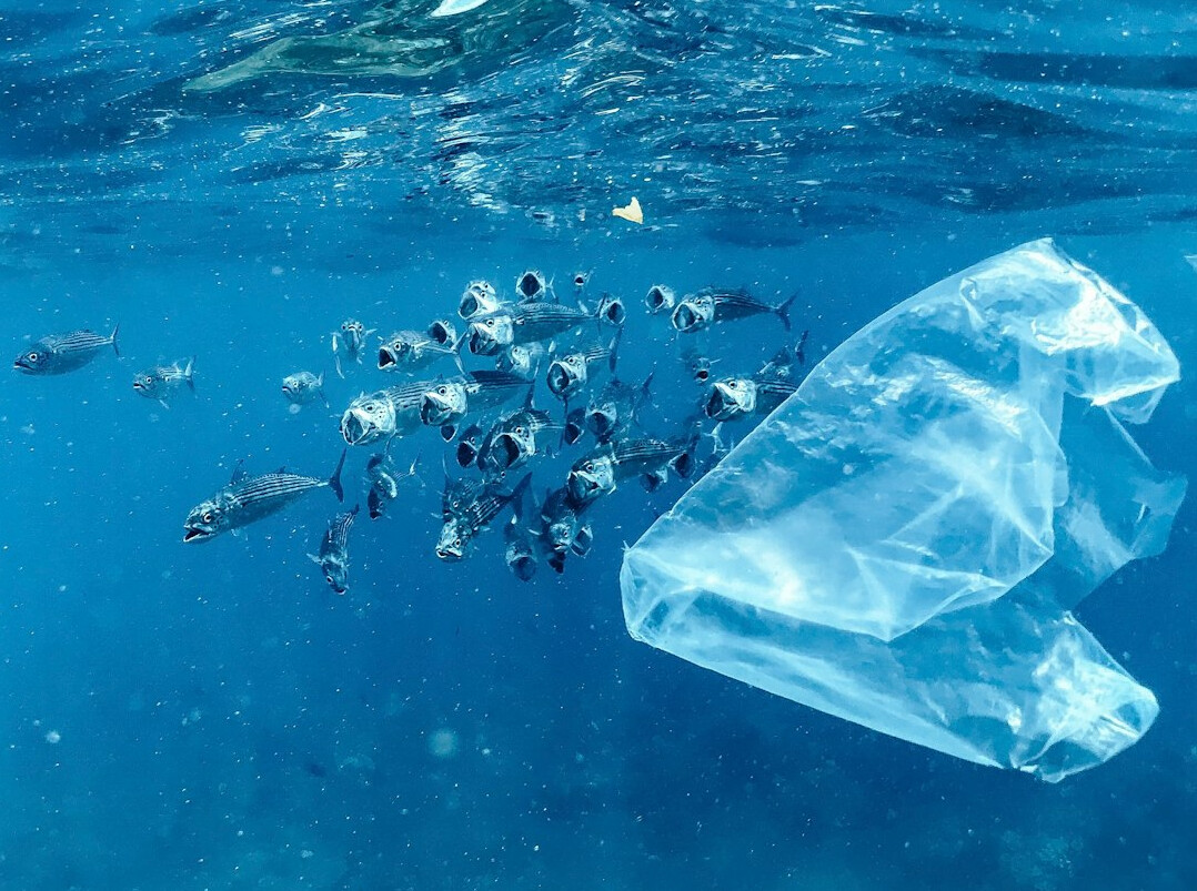 polluted ocean plastic